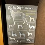 2023OTRA_423 (May 04, 2023)